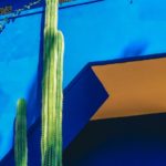 jardin majorelle