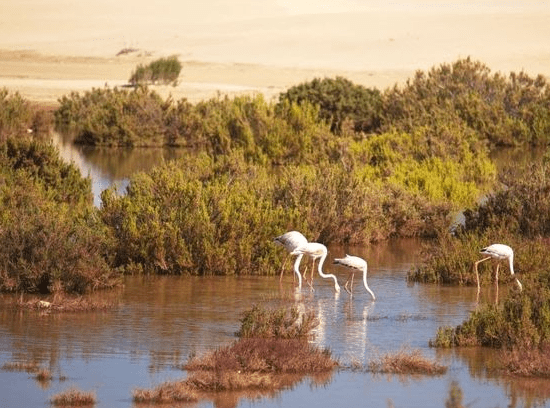 agadir