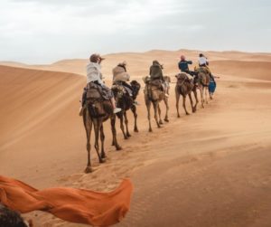 Sahara Desert