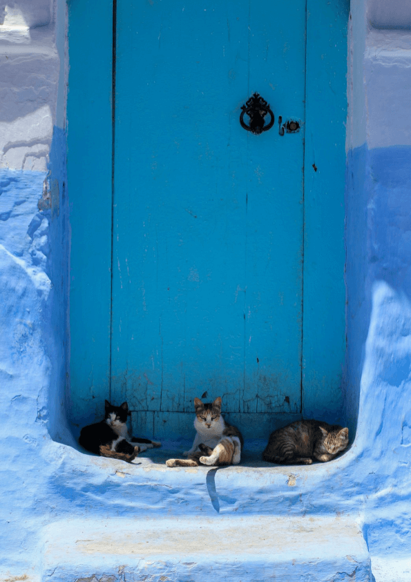 Chefchaouen