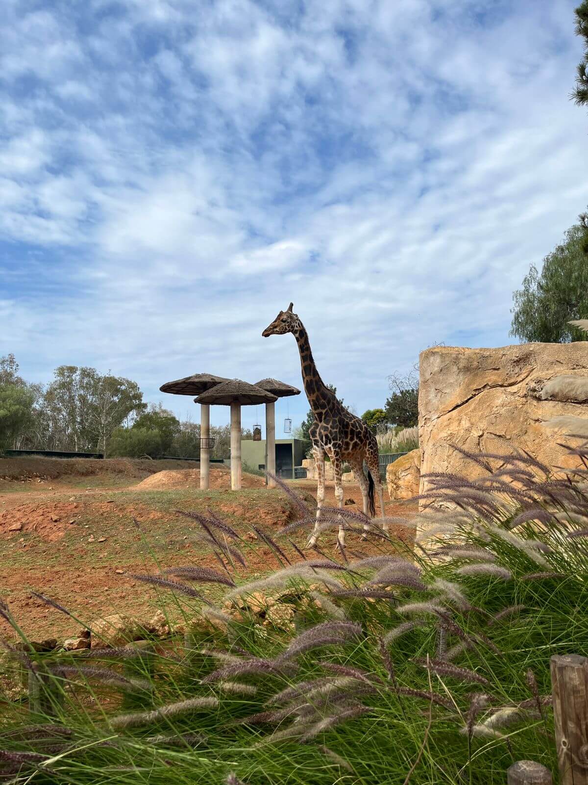  Rabat Zoo